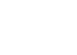 Vertice Ski's logo in all white