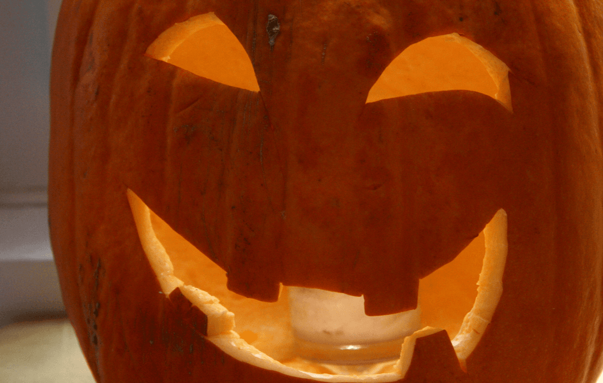 Pumpkin | Thunderbolt Digital | Web Design Surrey