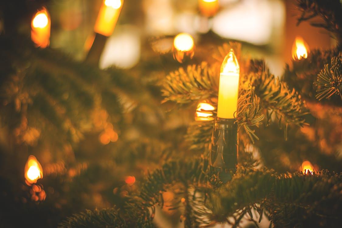 christmas lights | Web Design Surrey