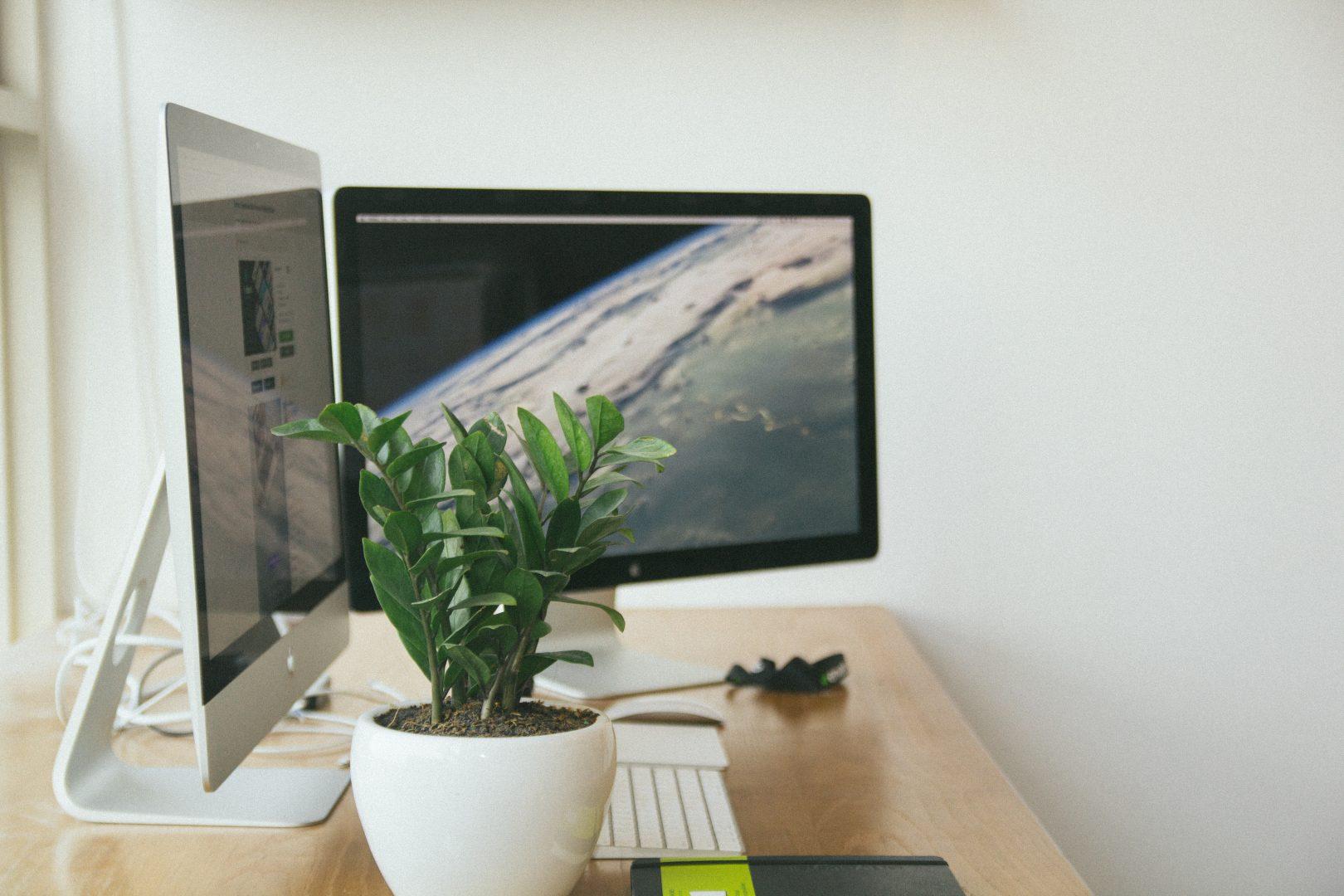 Plant and web design iMacs set up on desk | Innovative Web Design