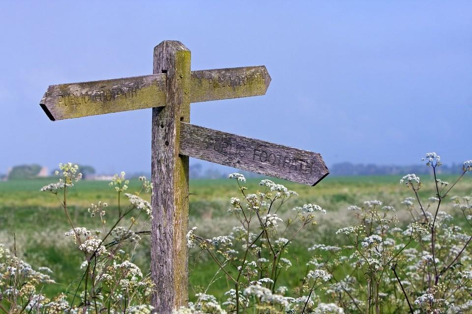 Signpost in field pointing in different directions | Web Design Surrey