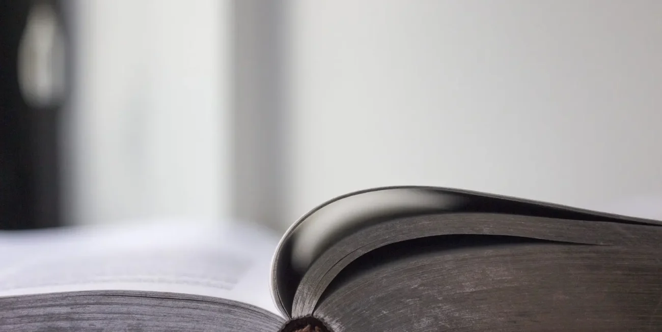 There are many reasons why it makes better business sense to outsource certain tasks. There are things you do well, and your time is better spent on those things. If your company is big enough to have specialists who look after support tasks not directly related to your expertise (accountants, HR professionals, office managers), then you may be in a position to recruit and maintain an in-house web team, too. Even then, getting an external agency to build a well-designed, accessible and secure website is usually a better idea than trying to do it in-house. A good agency will have worked on a variety of accounts, gained expertise on all the main platforms, and have experienced developers who understand best practice. Don’t fall for false economy. A pizza delivery company doesn’t build its own motorbikes. There are certain ongoing tasks which support your website and your other online marketing efforts, which you will need to cover in-house. Of course, a retained agency approach is an option here, but this is where a smaller business might be better off starting with a “good enough” approach in-house. There are three areas which you will need to cover: 1. Online marketing 2. Copywriting 3. Social media They support the development of a professional image for your business and have some overlap, so looking at all three is advised. What is a social media strategy without a marketing calendar (in fact, what is a social media strategy?)? What is a website without copy that sells? What is an online marketing plan without social engagement? Below are our book recommendations to get you on your way. They’ll kick-start you into learning how to write effective copy for your website, brochures and other documents; they’ll help you clarify the language you use, and help you get an understanding of online marketing. Online Marketing in 7 Days (for people who can’t avoid it any longer) If you are new to online marketing (or think of marketing in terms of mail shots and advertising), this book is an excellent basic guide. It will help you understand what marketing is and how to apply it to your business online. It is clearly written, practical, and has prompts for exercises. It’s not heavy on theory. It contains just enough information for you to get started. Likeable Social Media Any book on social media will be out of date by the time it comes out of the printer but this book is the best of the lot for getting a good understanding what social media is, how to use it for business purposes and what to expect in return. It is full of anecdotes and practical examples. Get the latest edition. If you want to have a crash-course on social media for business, this is a good place to start. You’ll want to keep an eye on Social Media Examiner and, of course, Likeable Media’s own blog for up-to-date information on social media. Write to Sell: The Ultimate Guide to Great Copywriting This book is a good starting point for people whose job it is to write your web copy, email newsletters, blog posts, direct mail and any sales document. It’s a practical guide for creating readable copy that keeps people interested and, ultimately, leads to sales. Complete Plain Words If your writing could appear in a typical letter from the tax office, then you might need this book. If you like to use words such as ‘expeditiously’ instead of quickly, or if your sentences run on for a paragraph, you’ll benefit from this book. It covers punctuation rules, apostrophe use, ground rules of grammar and the correct and concise use of words. If you need help with web design and online marketing, give us a call today on 01252 413757 or send us an email at howdy@wearethunderbolt.com. We design brilliant websites for all types of clients (and are the Surrey County Council’s preferred digital partner). We also help with branding, logo design and SEO. We are based in the Georgian market town of Farnham, Surrey and we love to help businesses succeed.