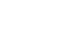 BCA logo in white
