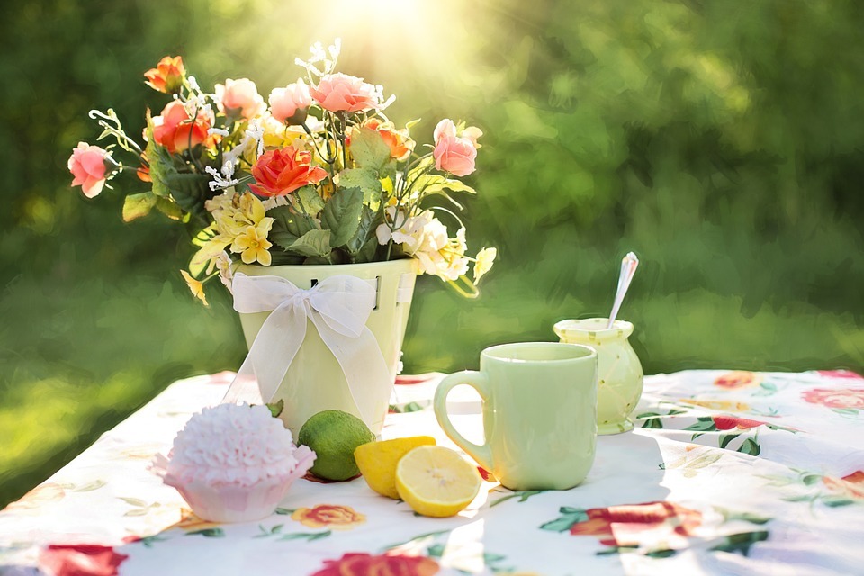 Pot of flowers with a mug, fruit and sugar | Thunderbolt