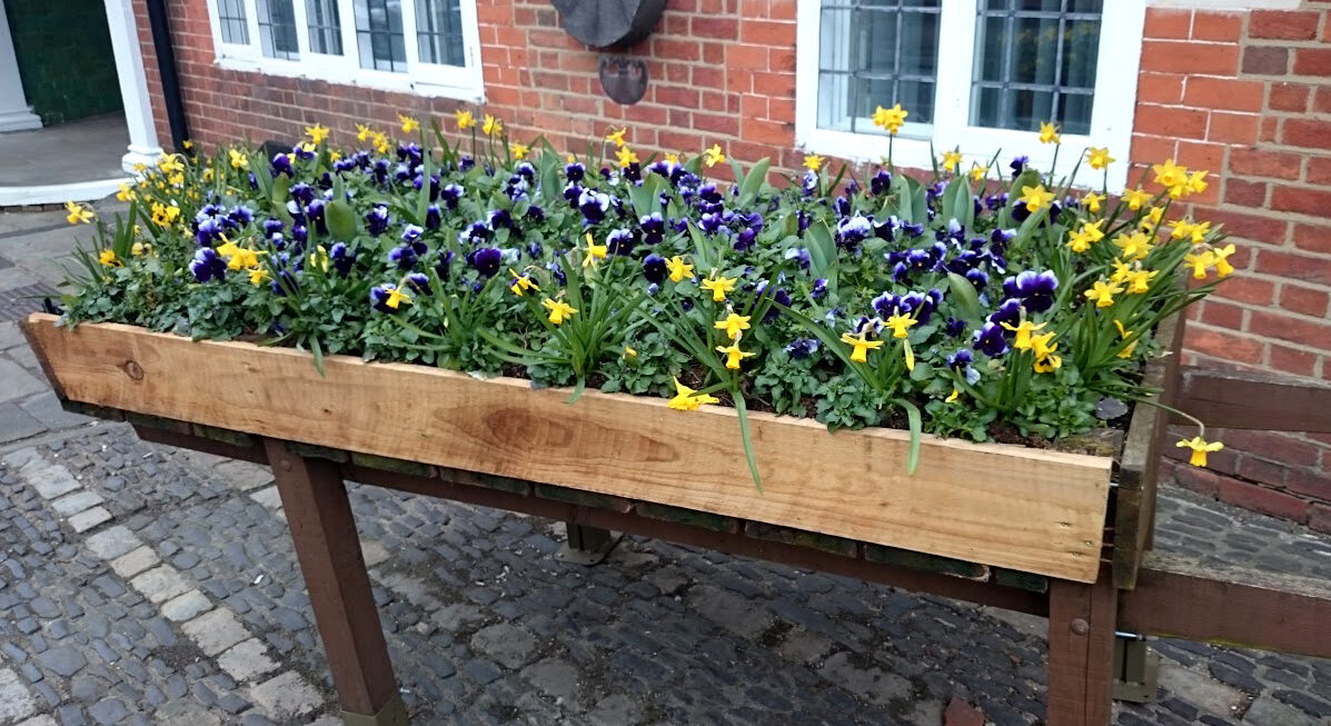 Five Interesting Places to Visit in Farnham | Thunderbolt