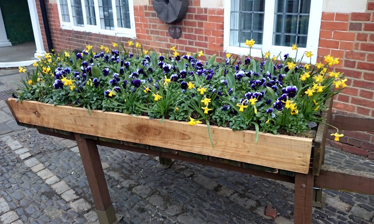 Five Interesting Places to Visit in Farnham | Thunderbolt