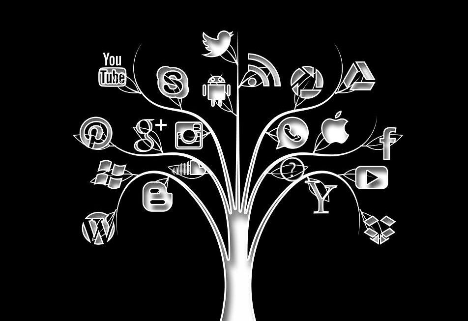 Social Media Tree | Social Media Farnham | Thunderbolt Digital