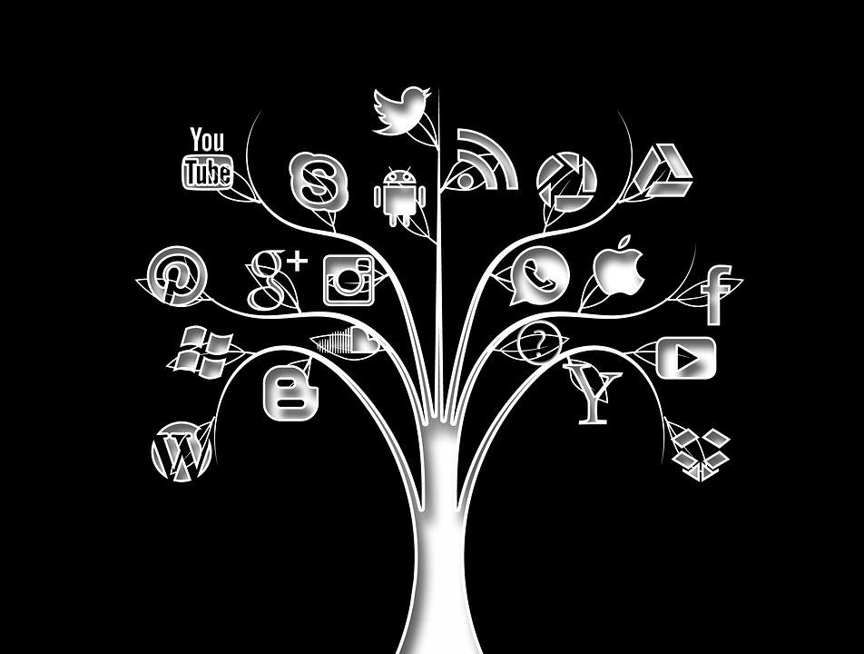 Social Media Tree | Social Media Farnham | Thunderbolt Digital