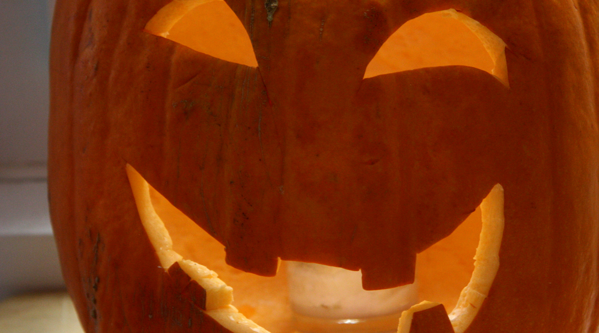 Pumpkin | Thunderbolt Digital | Web Design Surrey