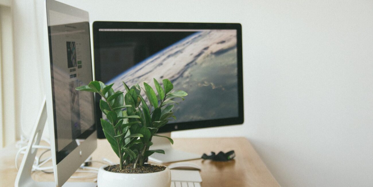 Plant and web design iMacs set up on desk | Innovative Web Design